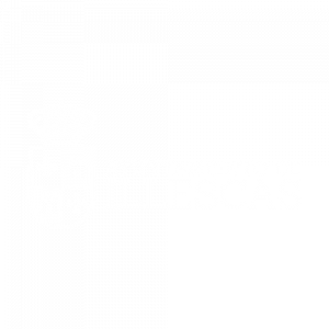 ayto illescas